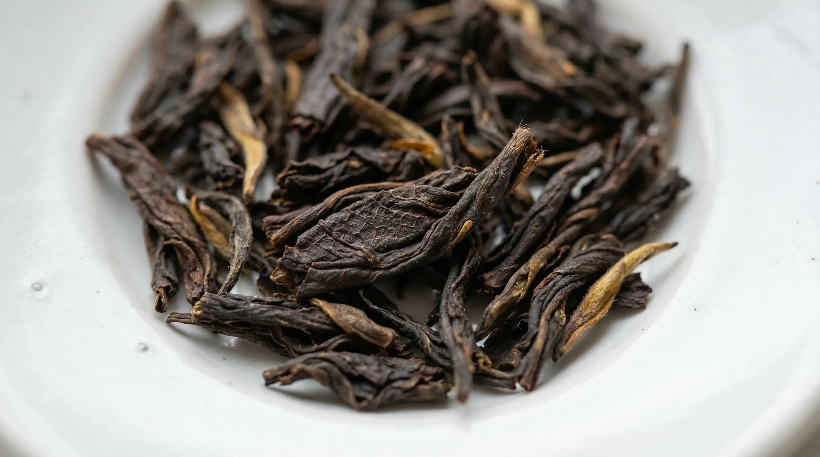 Schwarzer Tee: Inhaltsstoffe, Nährwerte & Wirkung im Detail